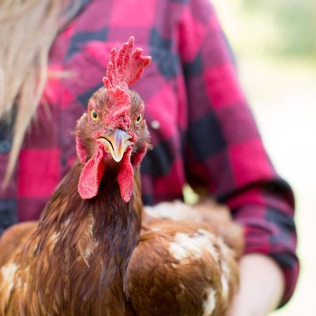 Woodstock Sustainable Farms Villa Ngoại thất bức ảnh