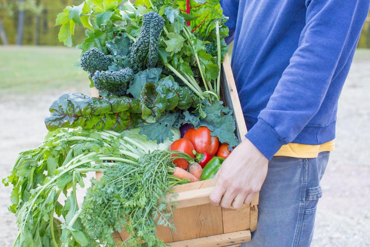 Woodstock Sustainable Farms Villa Phòng bức ảnh