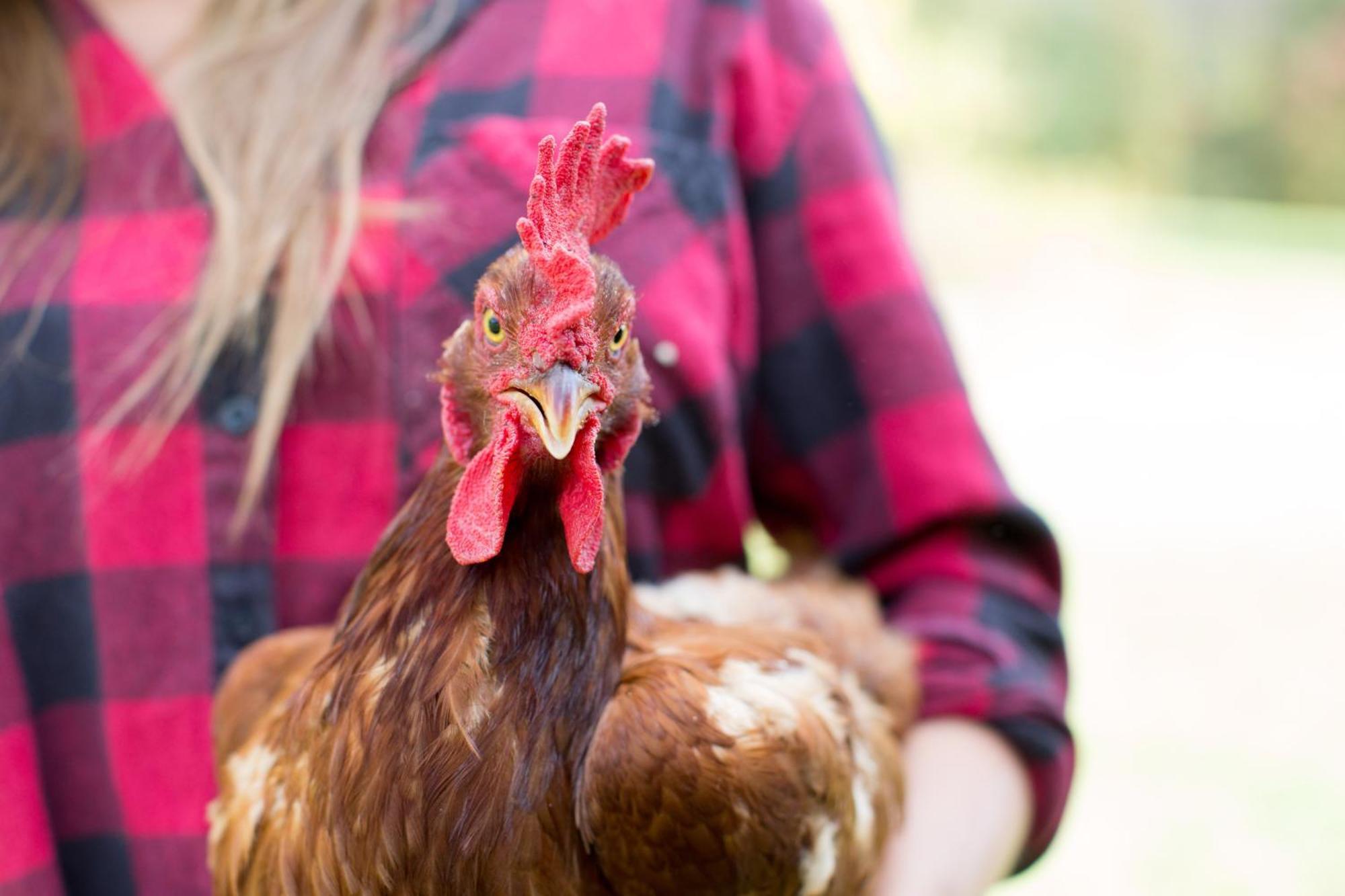 Woodstock Sustainable Farms Villa Ngoại thất bức ảnh